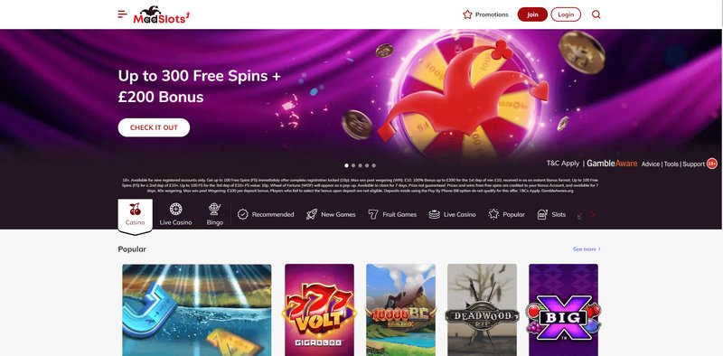 The Rise of Mobile Gaming in the UK: Trends and Emerging Champions
